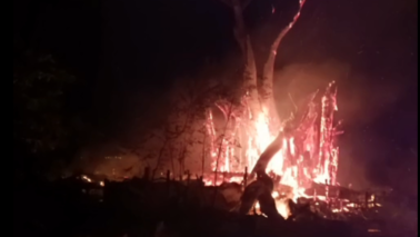 Bombeiros são acionados para incêndio em vegetação próximo a Fazenda Municipal (Foto: O Diário de Barretos)