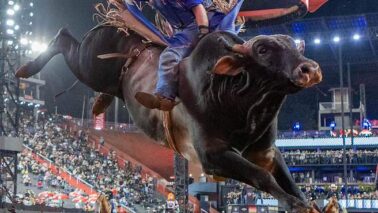 O competidor da cidade de Paranaíta/MT, João Paulo Velasco, está cada vez mais próximo do título de campeão nacional da PBR (Professional Bull Riders) de 2026.