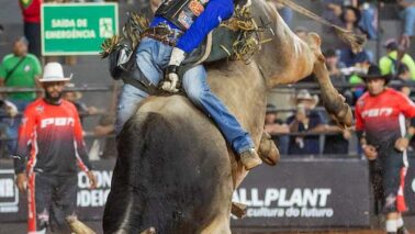A grande final da PBR (Professional Bull Riders) Brazil teve início na noite desta quinta-feira (20), com a participação dos 25 melhores competidores pontuados nas etapas realizadas por todo o país ao longo deste ano.