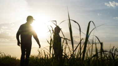 Documento reúne iniciativas ambientais, expansão da agricultura regenerativa, inovações no campo e soluções de baixo carbono em toda a cadeia de valor