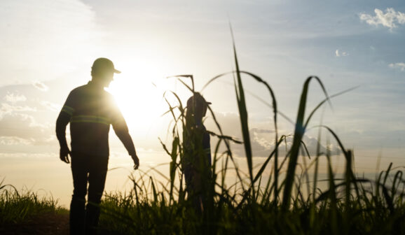 Documento reúne iniciativas ambientais, expansão da agricultura regenerativa, inovações no campo e soluções de baixo carbono em toda a cadeia de valor