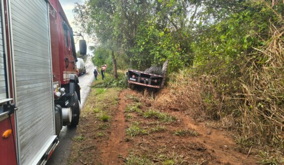 Acidente envolvendo caminhão em rodovia mobiliza bombeiros (Foto: O Diário de Barretos)