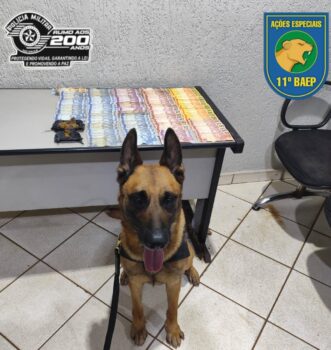 Procurado é detido pela PM por tráfico (Foto: O Diário de Barretos)