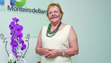 Por que comemoramos o Dia da Árvore?
