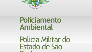 Polícia Ambiental usa drones e satélites para combater queimadas