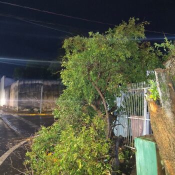 Bombeiros confirmam atendimento de ocorrências após vendaval (Foto: O Diário de Barretos)