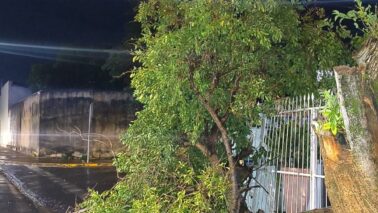 Bombeiros confirmam atendimento de ocorrências após vendaval (Foto: O Diário de Barretos)