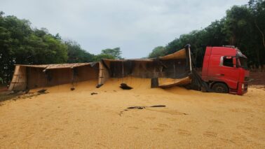 Caminhão com carga de milho tomba e interdita a Faria Lima (Foto: O Diário de Barretos)
