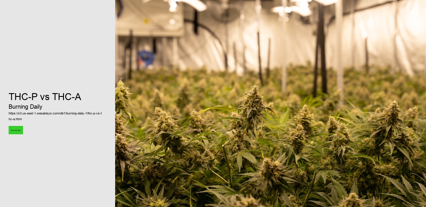 THC-P vs THC-A