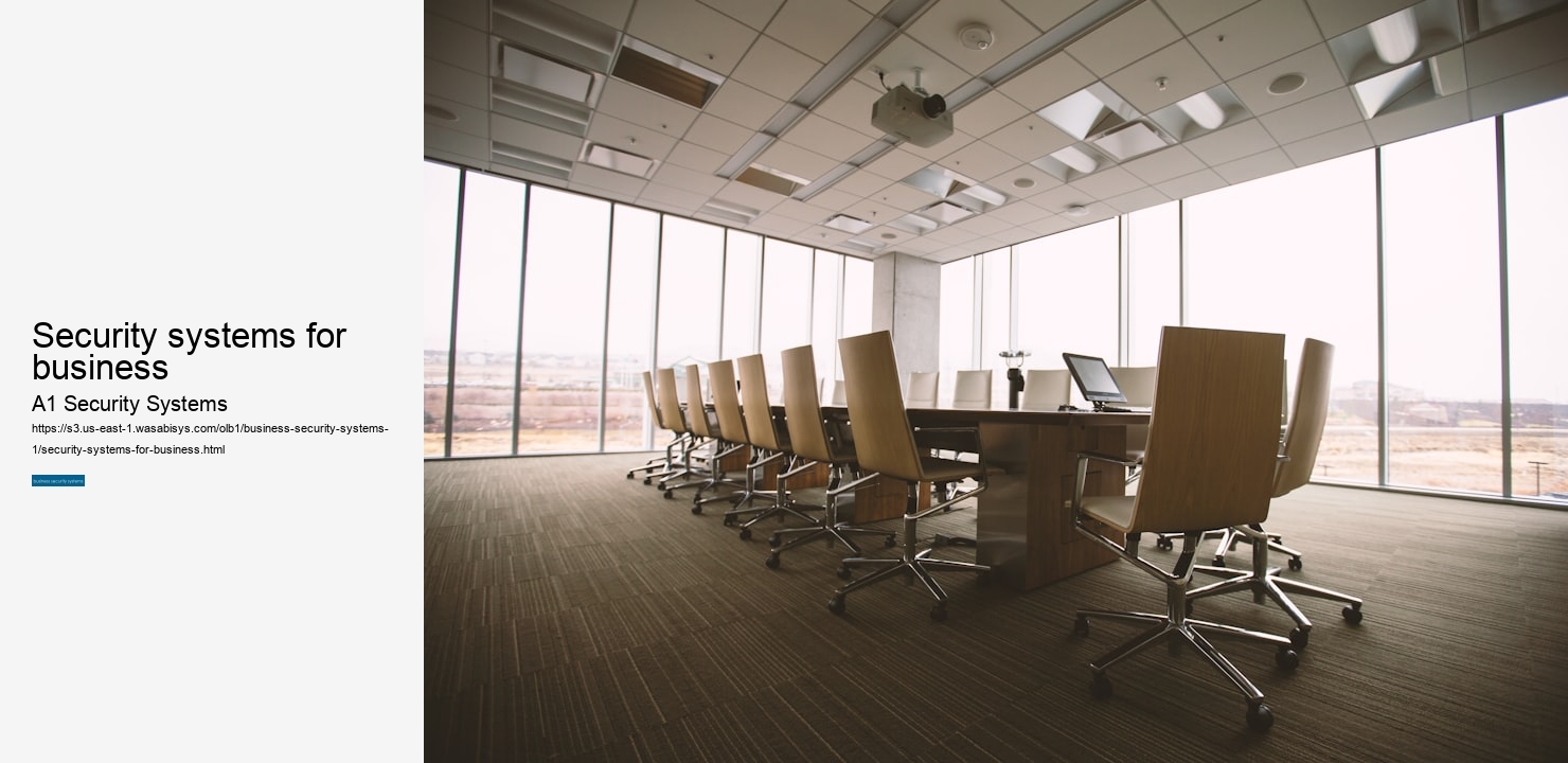 security systems for business