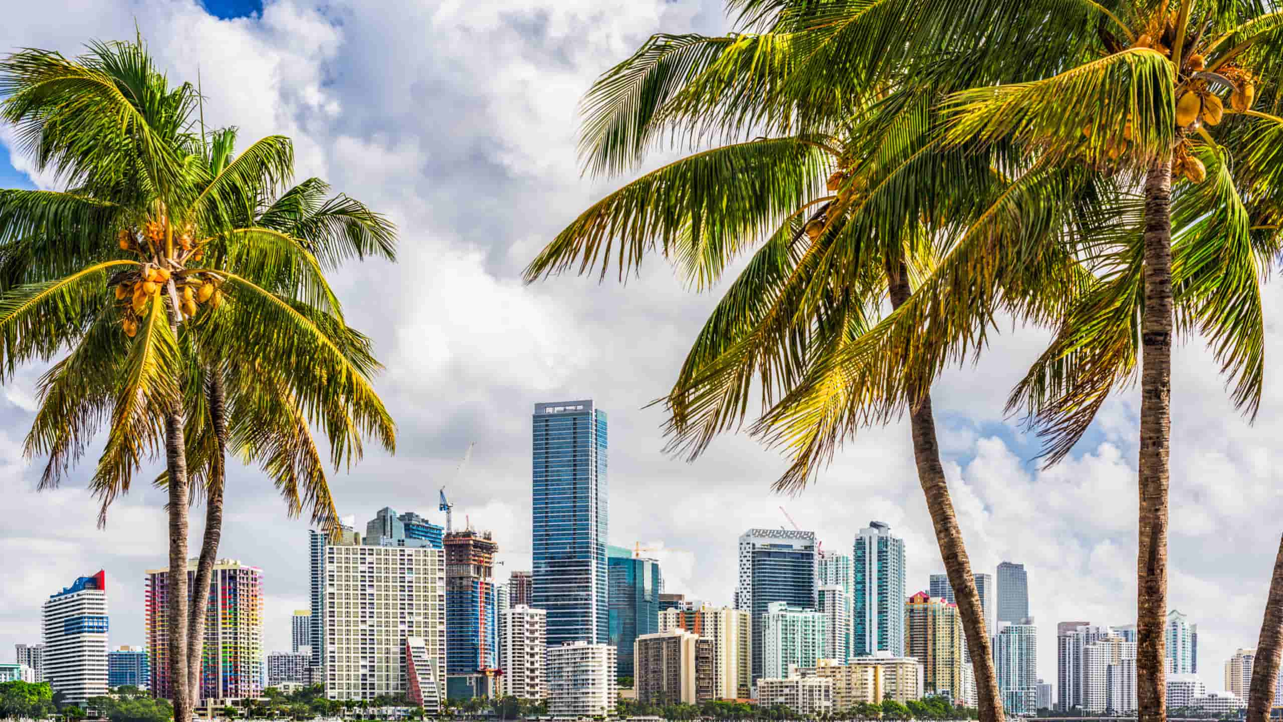 ¿Qué considerar al comprar un departamento en Miami como inversión?