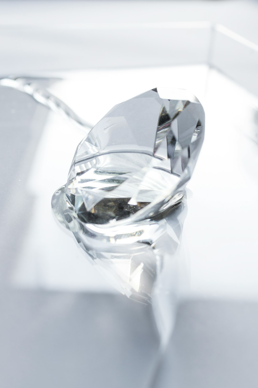 Flexible Options Tailored to Your Needs