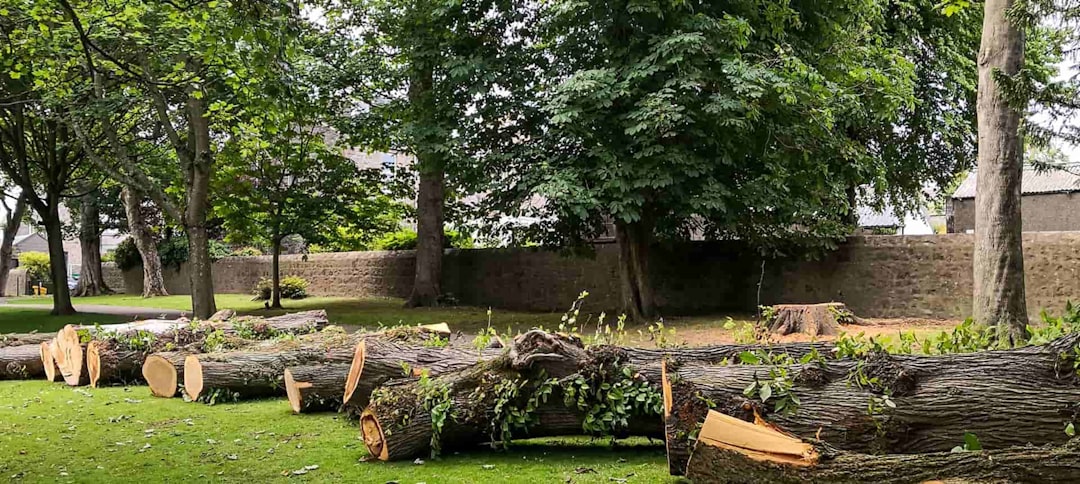 Durham Tree Inspection  