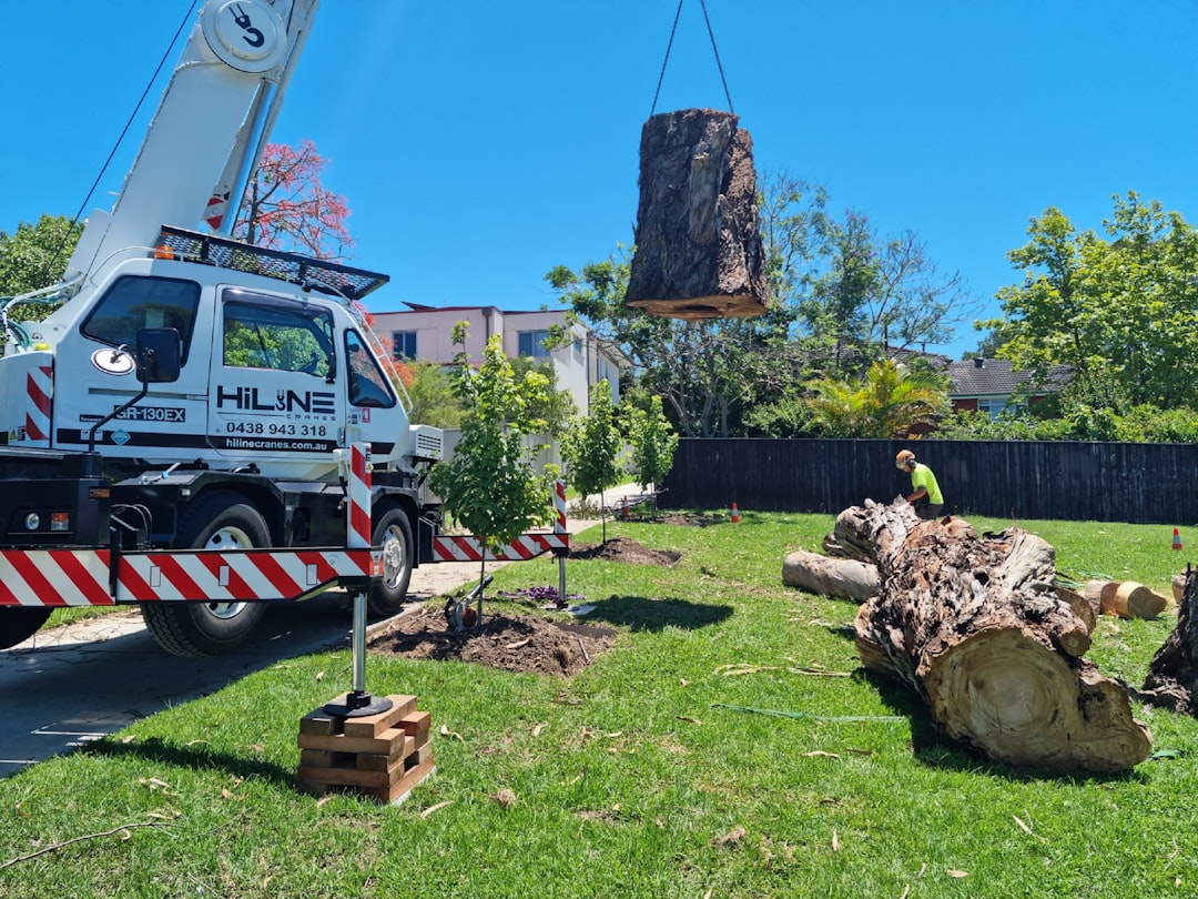 Best Tree Removal Company Durham  