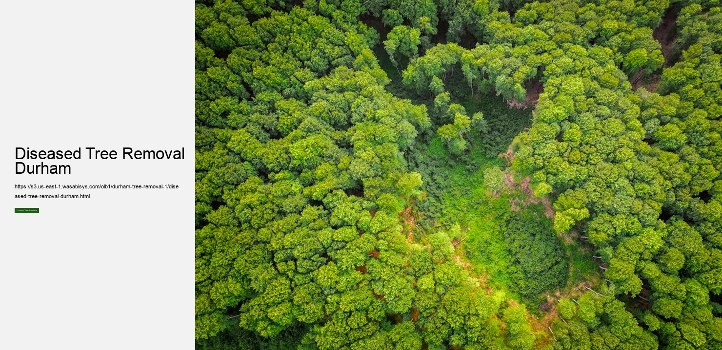 Diseased Tree Removal Durham