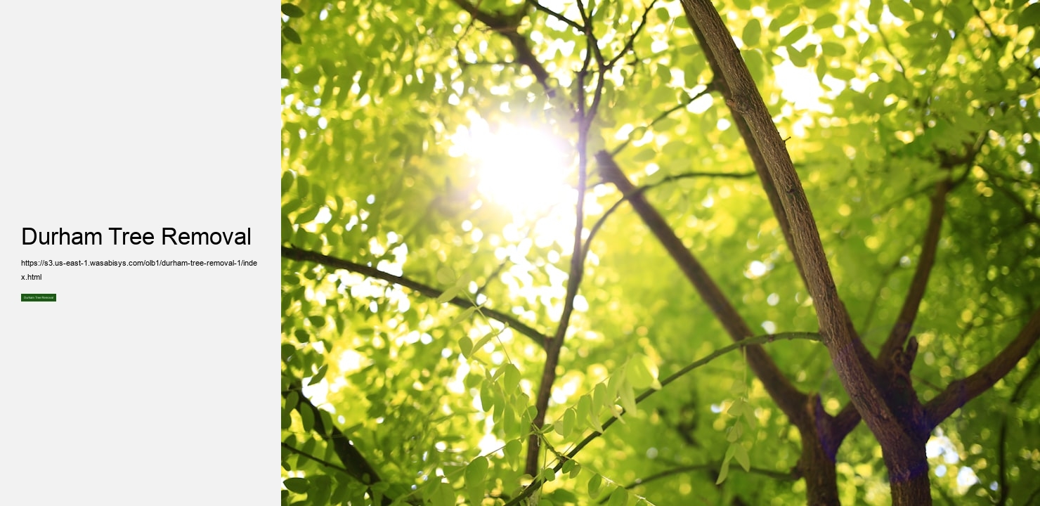 Durham Tree Removal