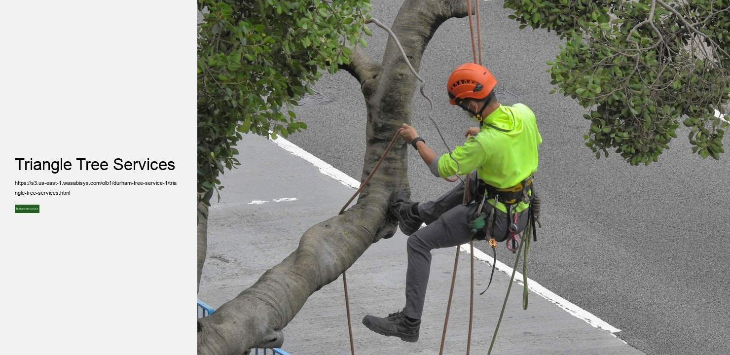 Triangle Tree Services