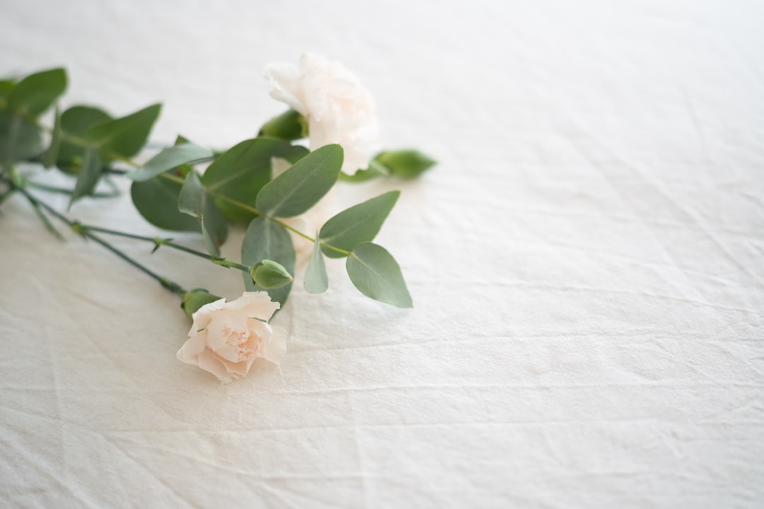 affordable funerals