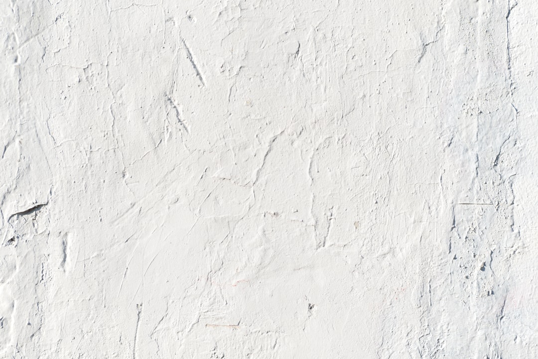 Local painters Northern Beaches