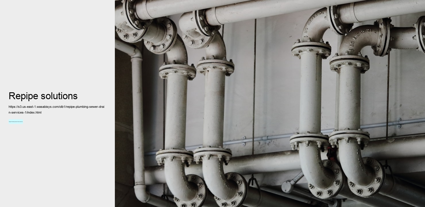 repipe solutions