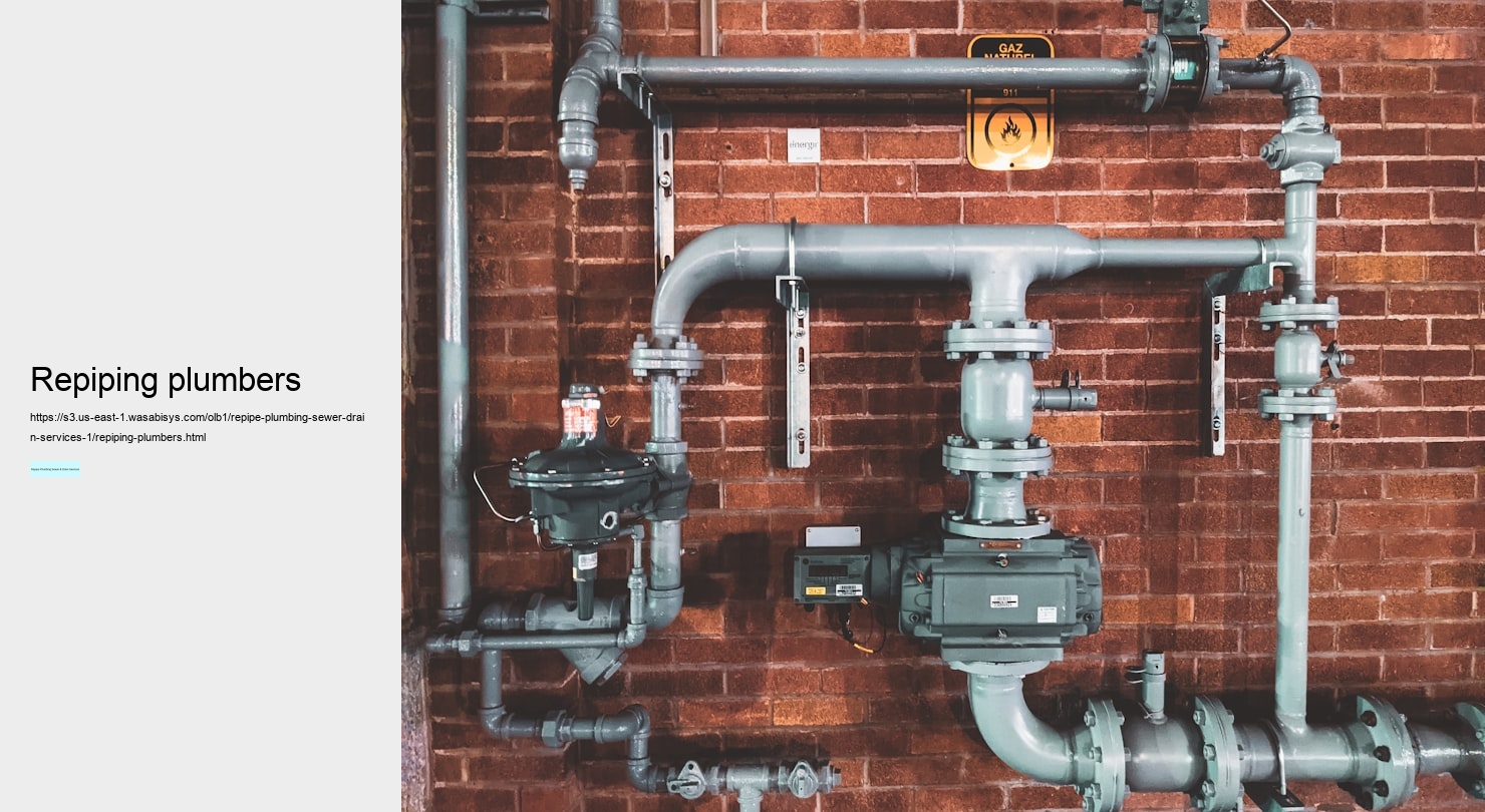 repiping plumbers