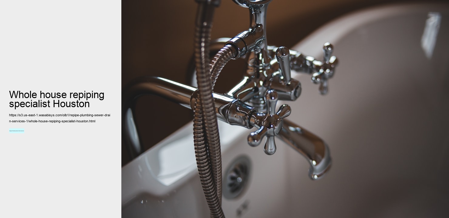whole house repiping specialist Houston