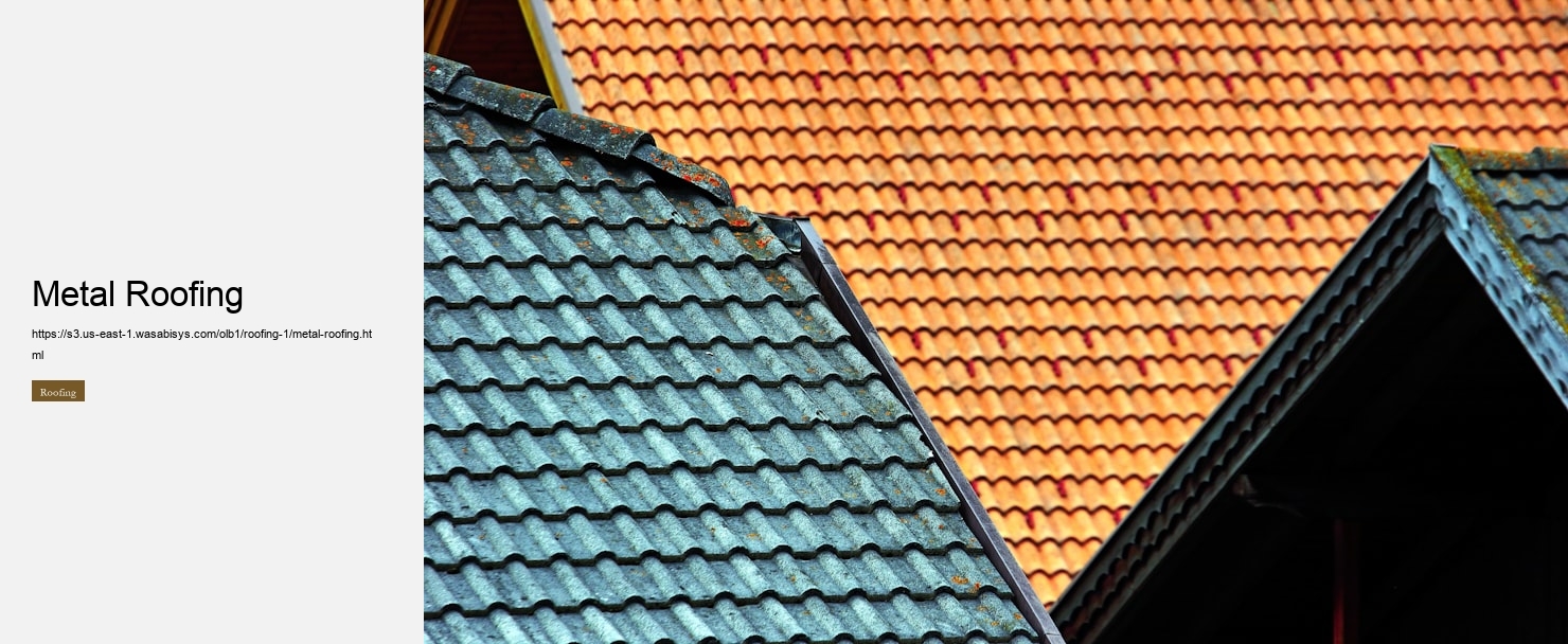Metal Roofing