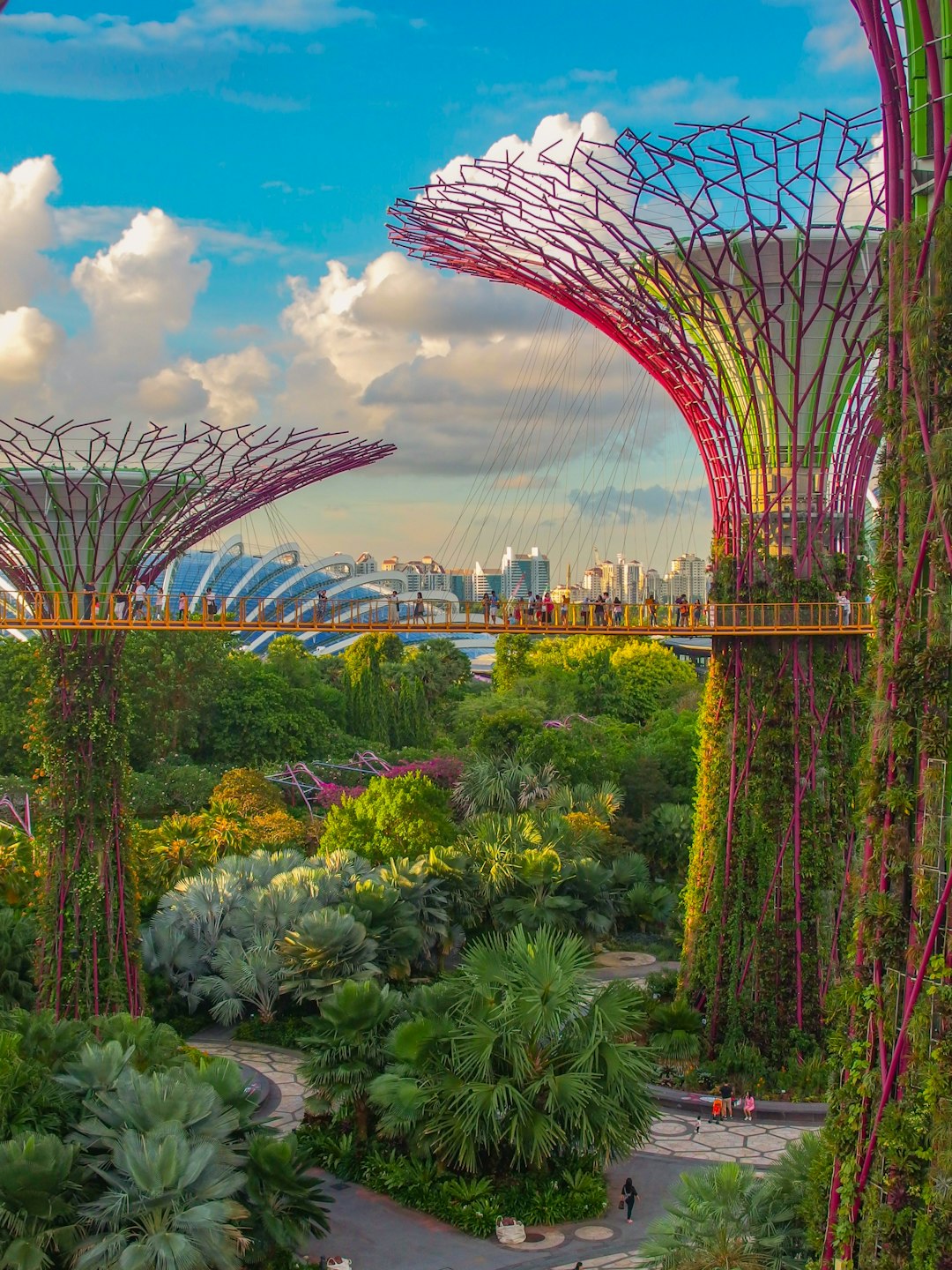 Beauty and Wellness Promotions in Singapore