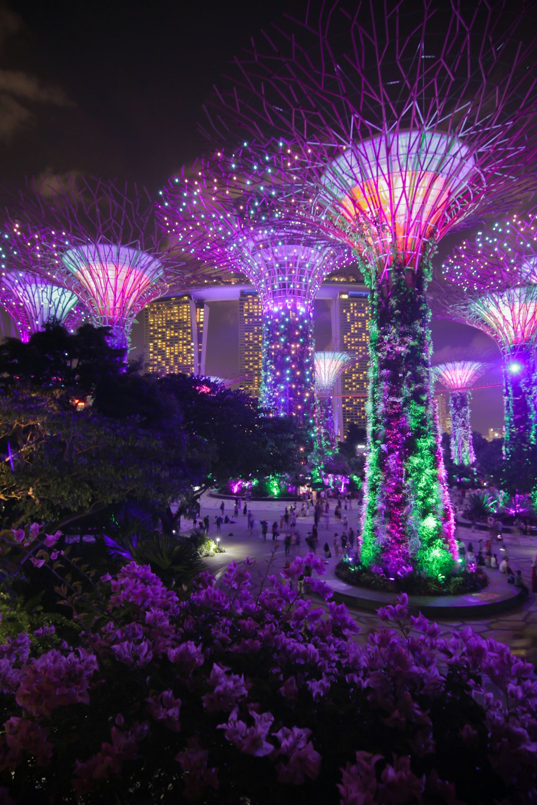 Rewards Programs for Singapore Deals