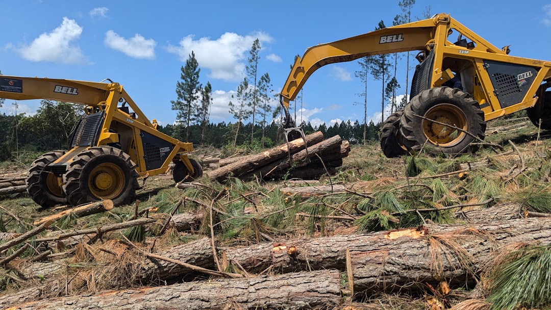 tree cutting service  