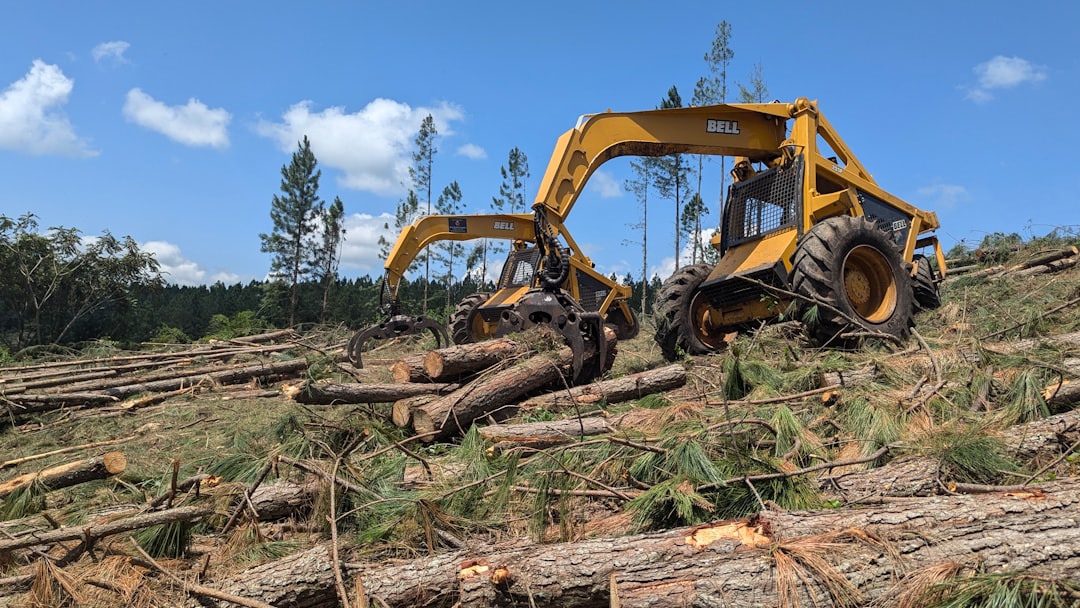 emergency tree removal  