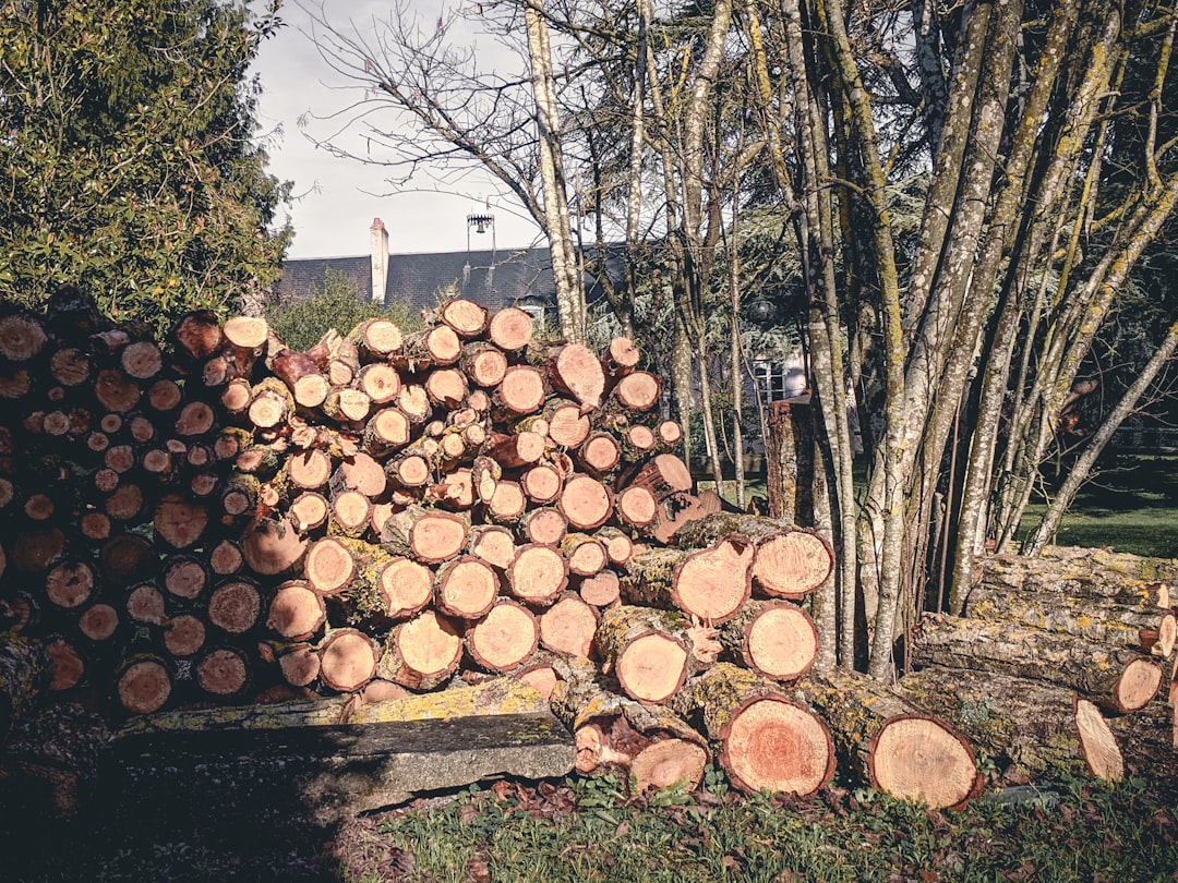 tree pruning  