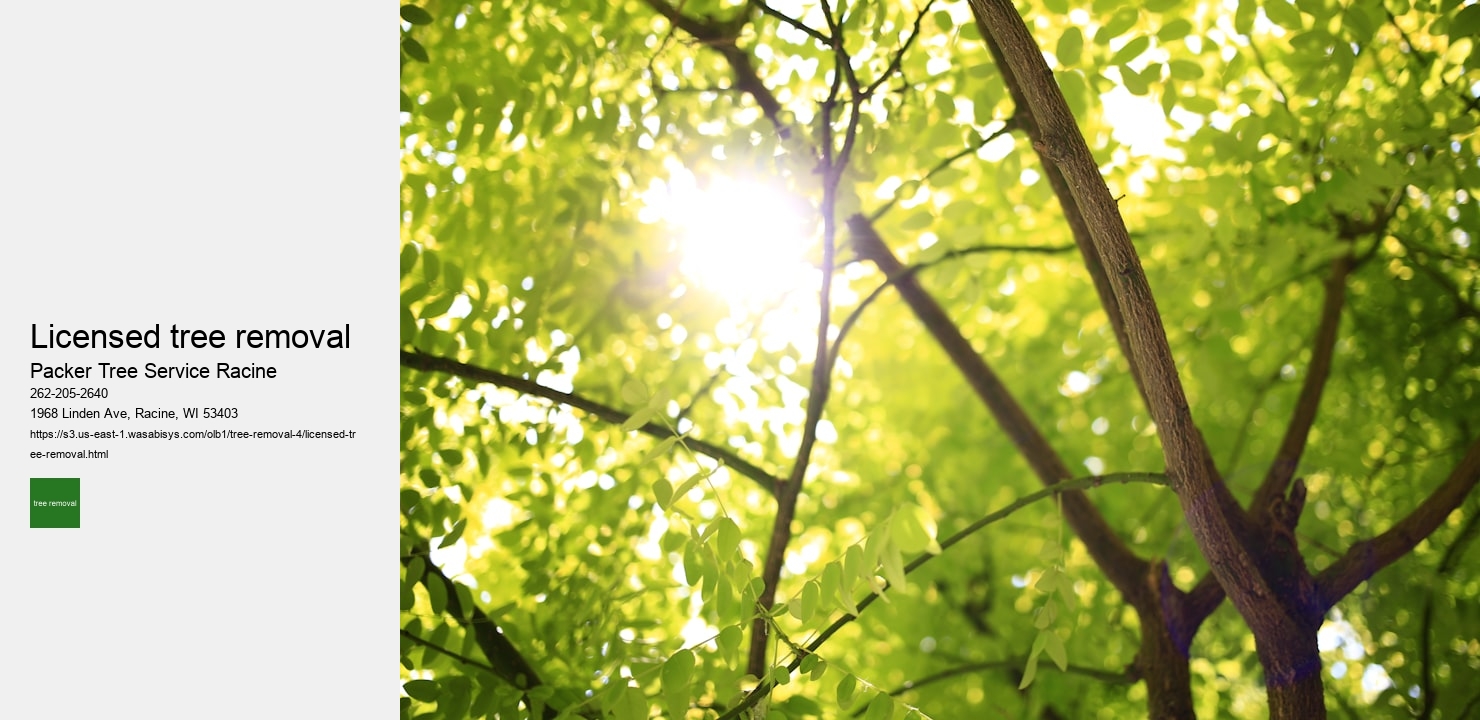 licensed tree removal