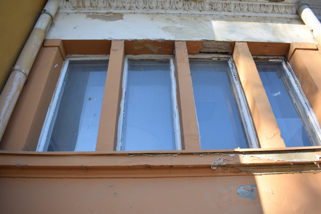 tint film for house windows  