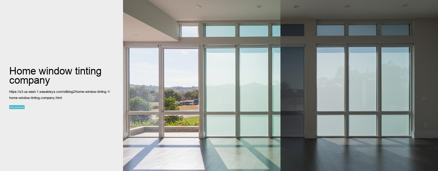 home window tinting company