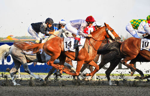 ブックメーカー 競馬の賭け方を紹介｜オッズ・ベットの種類や人気レース