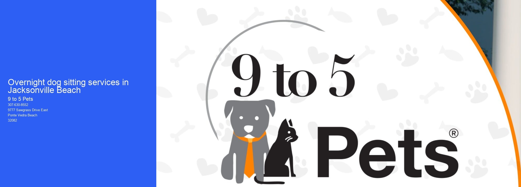 Overnight dog sitting services in Jacksonville Beach