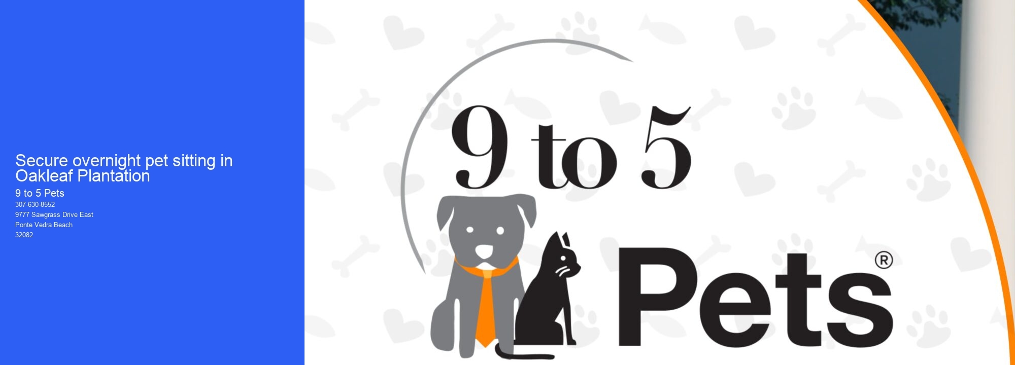 Secure overnight pet sitting in Oakleaf Plantation