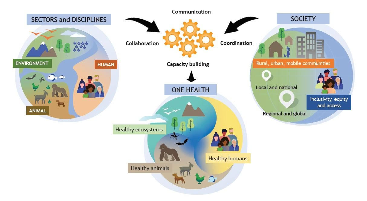 Tripartite and UNEP support OHHLEP’s definition of “One Health”