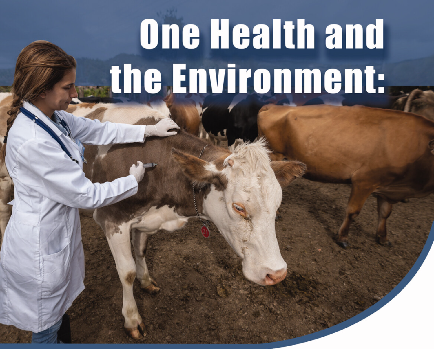 One Health and the Environment: From Conceptual Framework to Implementation Science