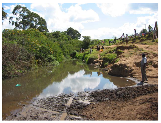 Watershed Management in the Njoro Region of Africa, Kenya course image