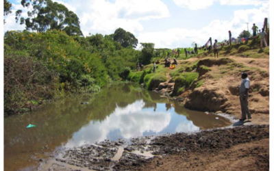 Watershed Management in the Njoro Region of Africa, Kenya