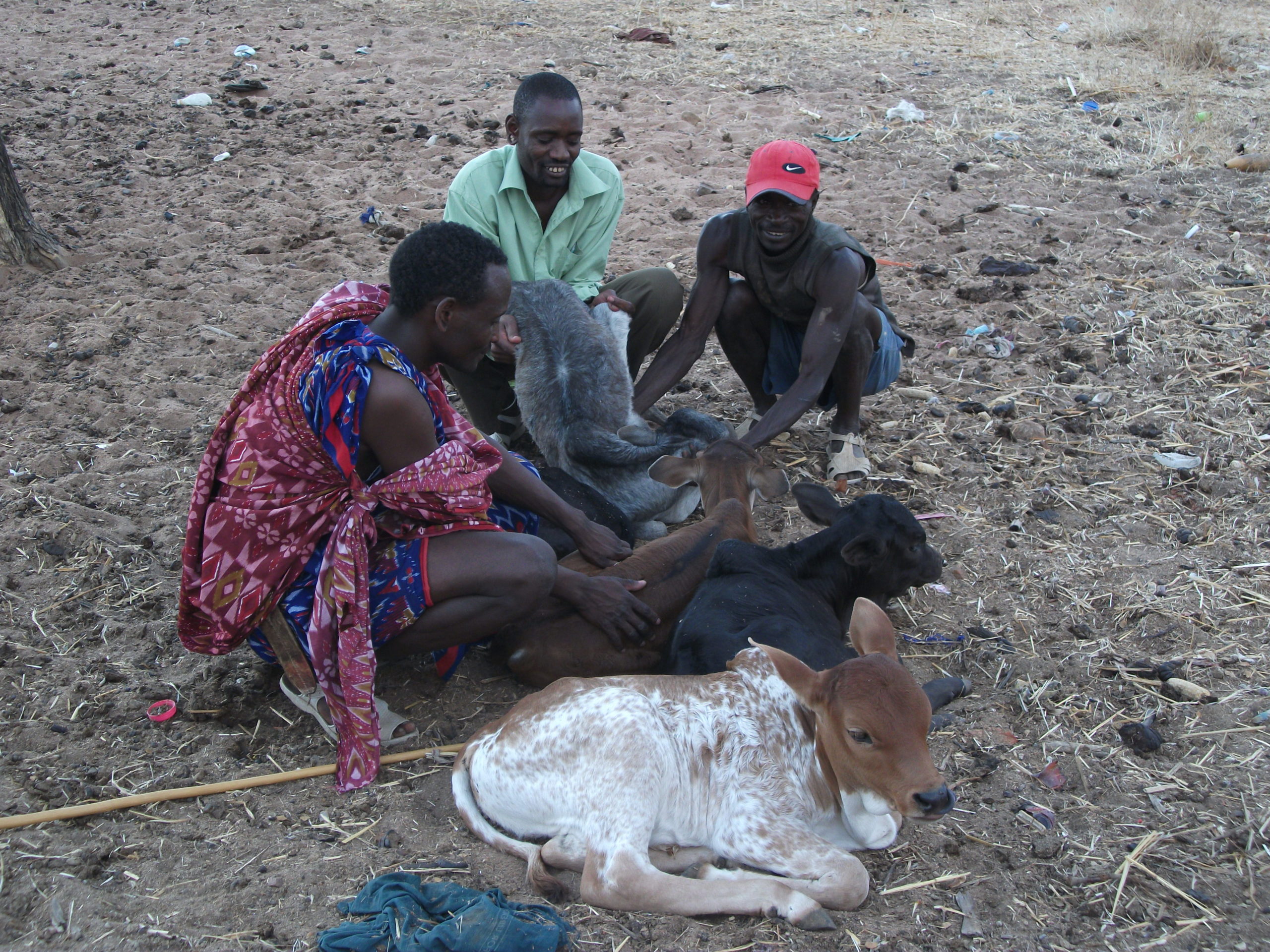 Investigating Livestock and Human Health Connections in the Ruaha Landscape, Tanzania