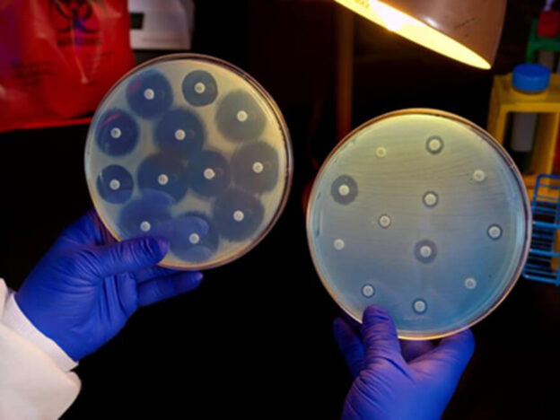 Antimicrobial Resistance in One Health: Advanced Level course image
