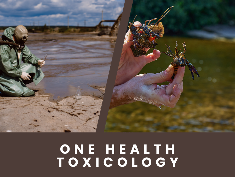 One Health Toxicology