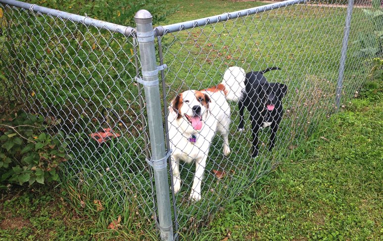 fence mesh miami