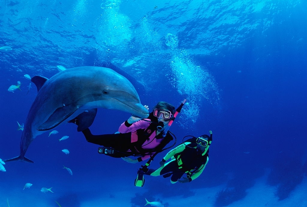 Panama Beach Boat Tours