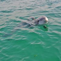 Which beach has the clearest water in Florida