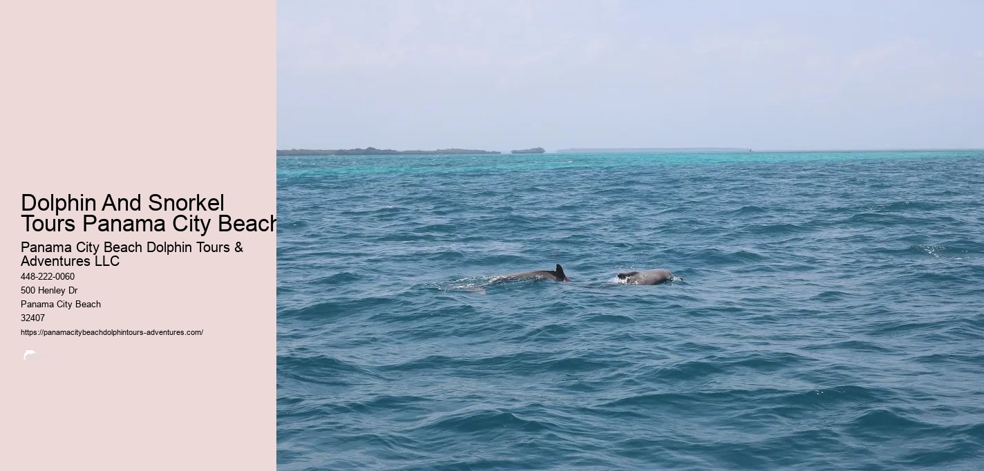 Shell Island Snorkeling Panama City Beach