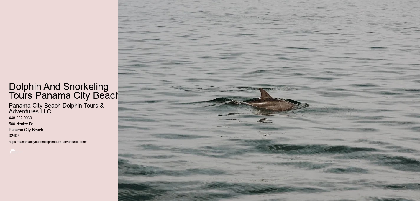 Snorkeling Trips Panama City Beach